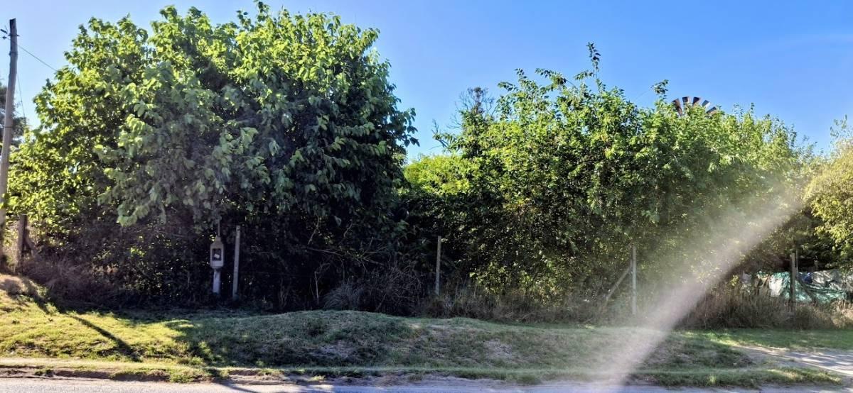 Foto de Terreno en venta en Sicardi, imagen 2