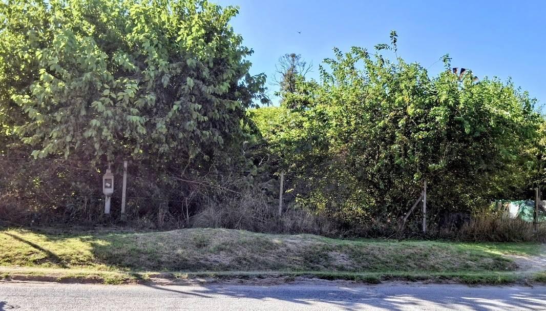 Foto de Terreno en venta en Sicardi, imagen 4