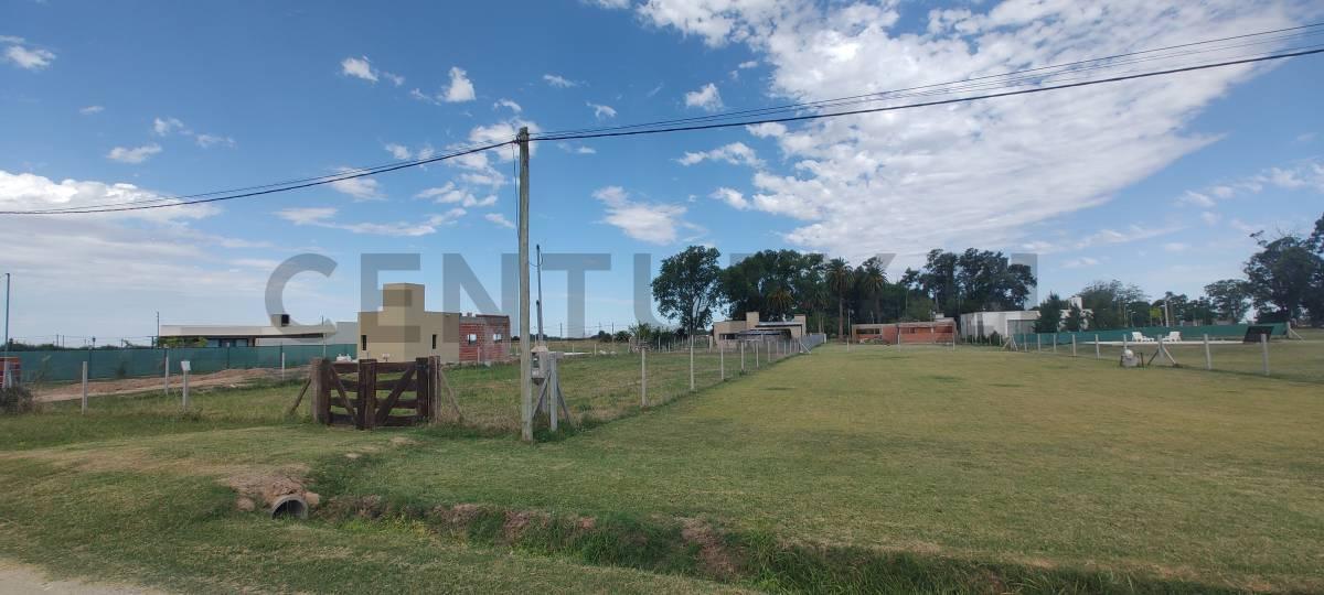 Foto de VENTA LOTE FINCA LA SOÑADA RUTA 11, imagen 3