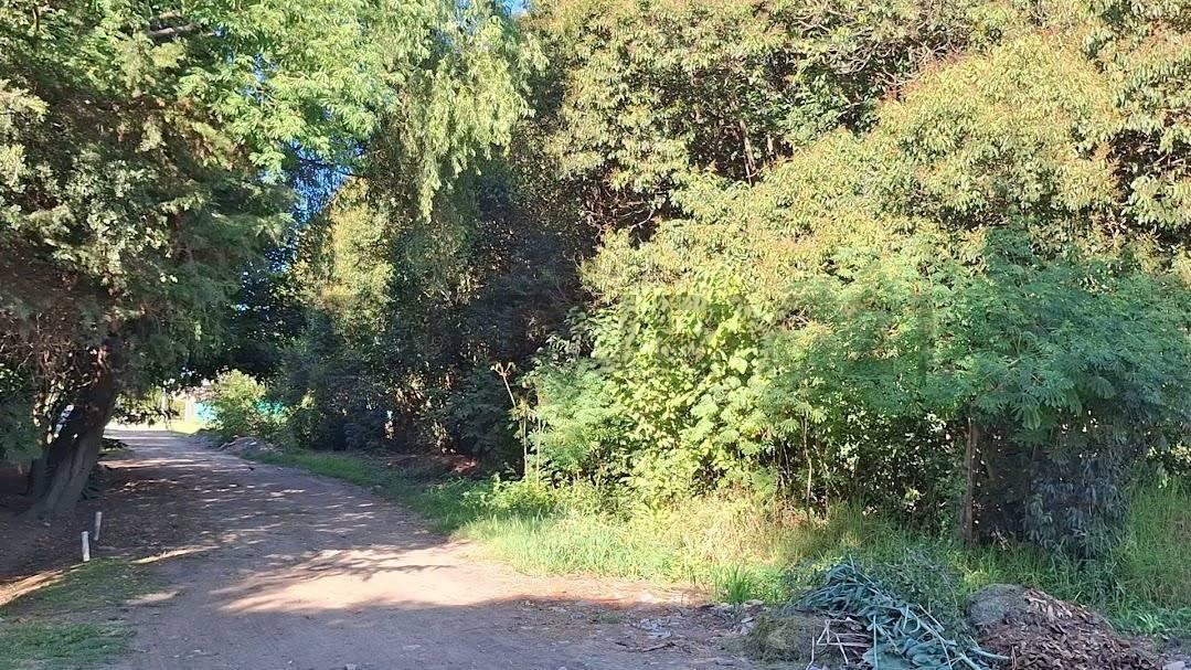 Foto de Venta de terrenos en Sicardi 300 mts2, imagen 5