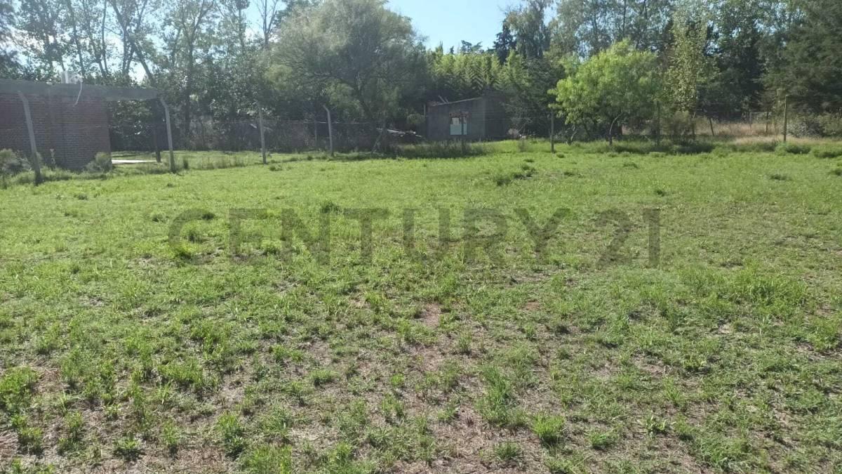 Foto de Lote en Venta en Villa Elisa, imagen 2