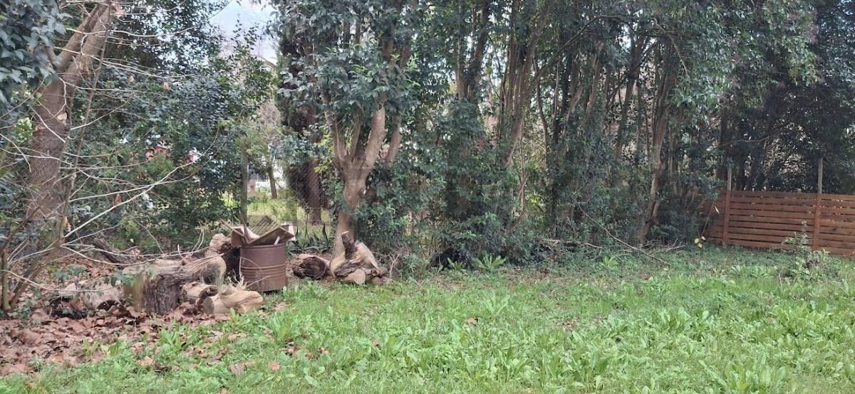Foto de Venta de lote Sicardi Garibaldi. Escriturado, imagen 3