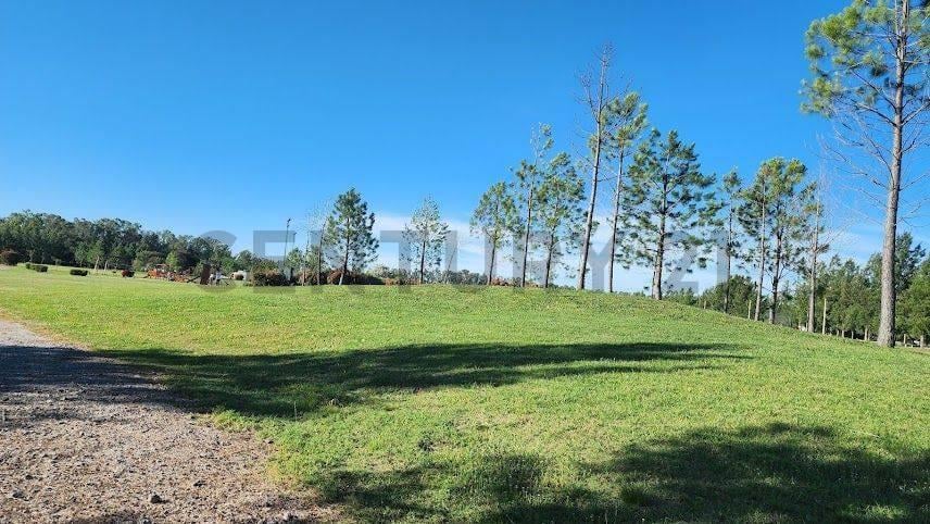 Foto de Lotes en Campos de Roca, imagen 5