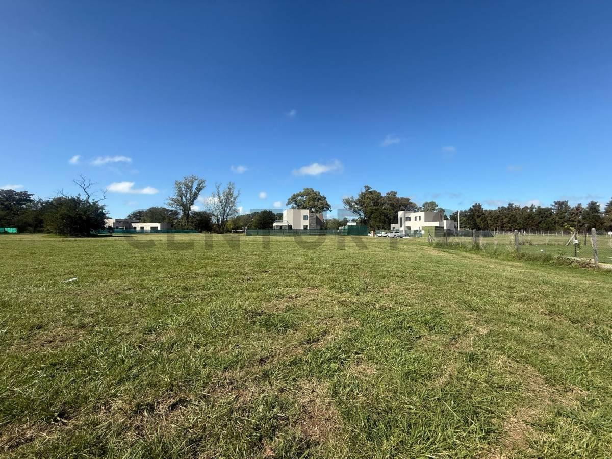 Foto de Lotes en venta en San Juan Chico, Hudson, barrio privado, imagen 5