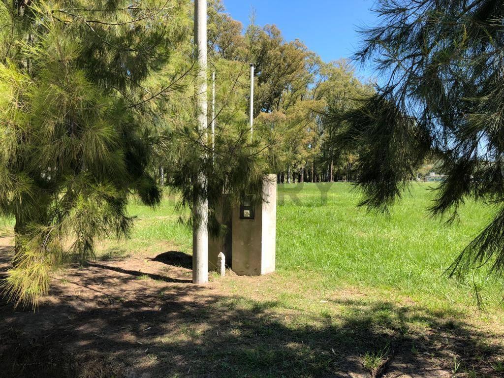 Foto de LOTE EN VENTA EN CAMPOS DE ROCA, imagen 5