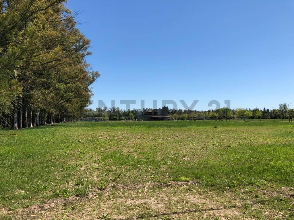 Foto de LOTE EN VENTA EN CAMPOS DE ROCA, imagen 2