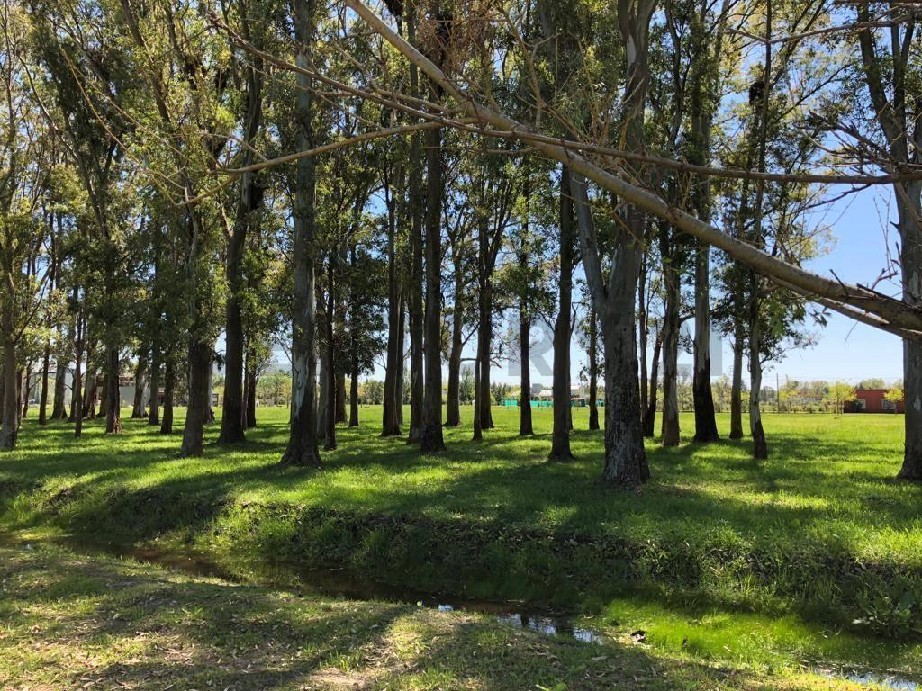 Foto de LOTE EN VENTA EN CAMPOS DE ROCA, imagen 4