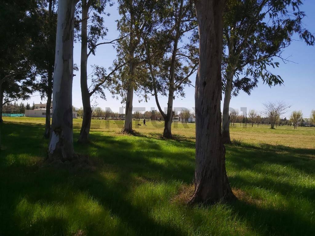 Foto de LOTE EN VENTA EN CAMPOS DE ROCA, imagen 3
