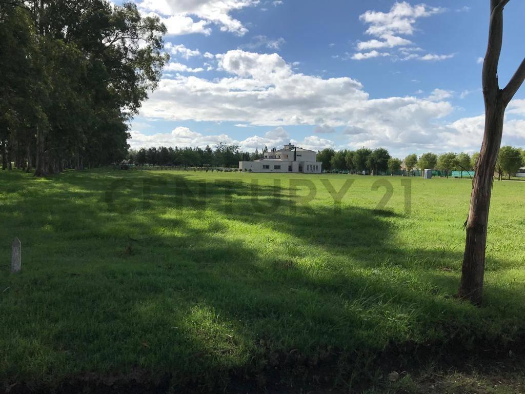 Foto de LOTE EN VENTA EN CAMPOS DE ROCA, imagen 1