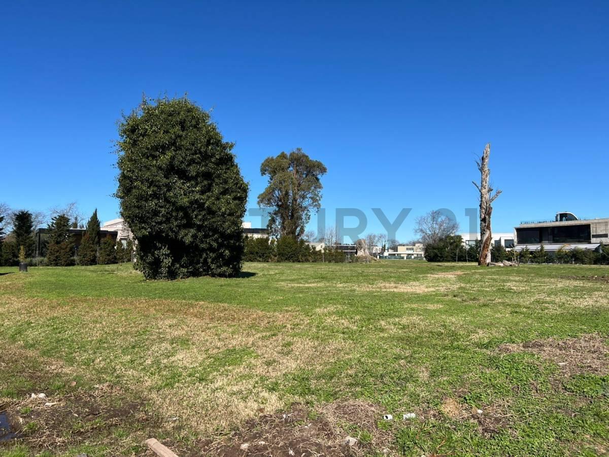 Foto de LOTE EN VENTA EN COUNTRY GREENVILLE, imagen 5