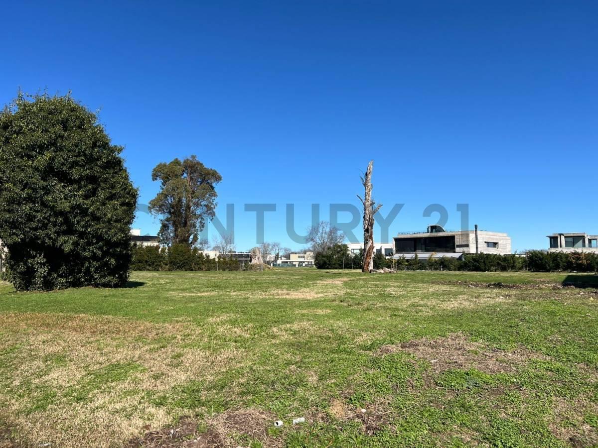 Foto de LOTE EN VENTA EN COUNTRY GREENVILLE, imagen 4