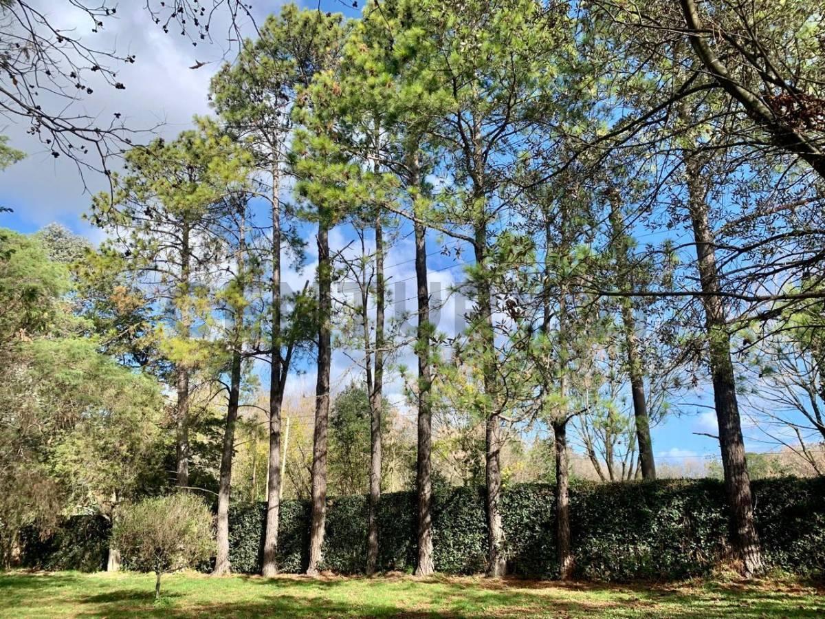 Foto de Venta de Lote en Villa Elisa, La Plata, imagen 5