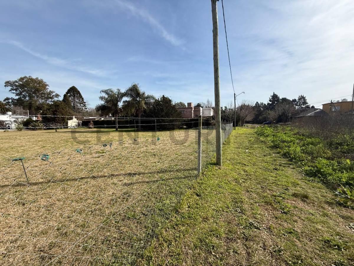 Foto de Venta de Lote en Villa Elisa, La Plata, imagen 2