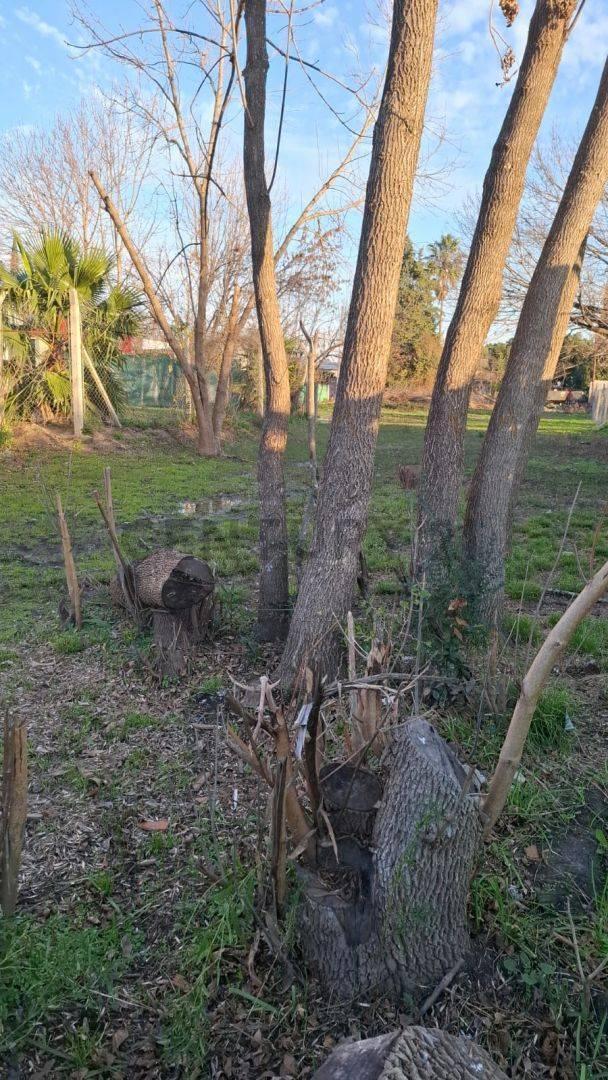 Foto de Lote en venta en City Bell, imagen 5