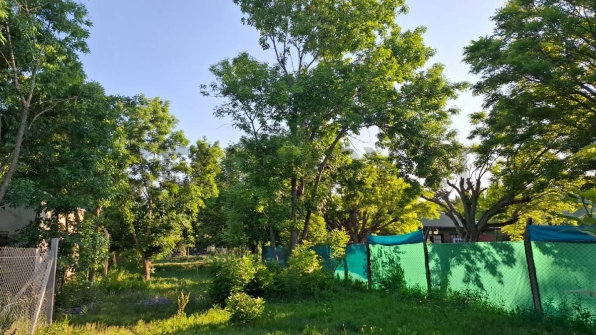 Foto de Lote en venta en City Bell, imagen 3