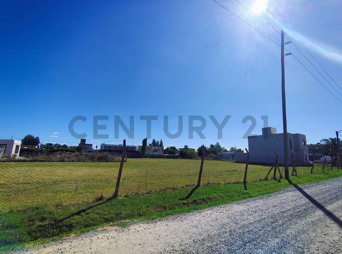 Foto de VENTA DE LOTE EN GONNET 4 Y 500, imagen 2