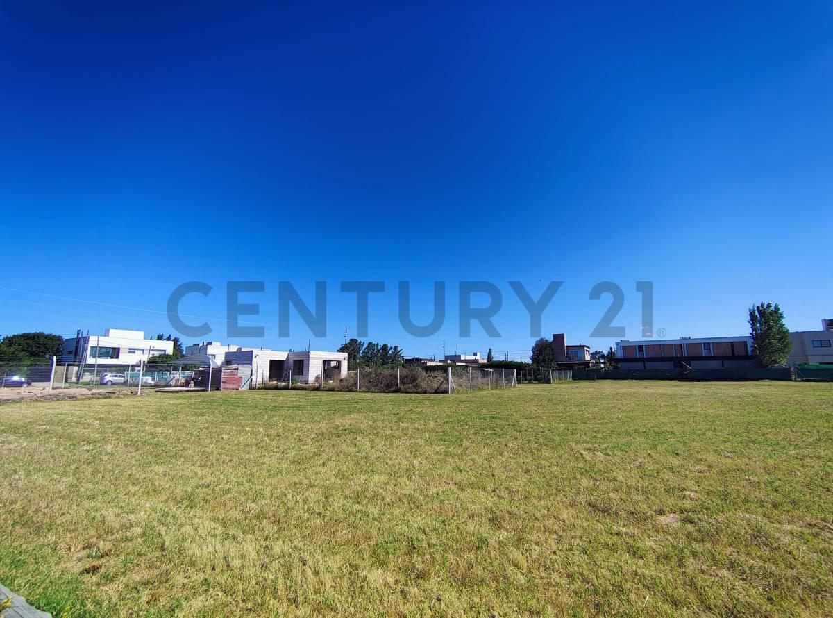 Foto de VENTA DE LOTE EN GONNET 4 Y 500, imagen 5