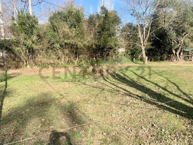 Foto de Venta de Lote en Villa Elisa, La Plata, imagen 4