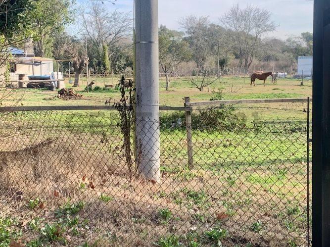 Foto de Venta de Lote en Villa Elisa, La Plata, imagen 5