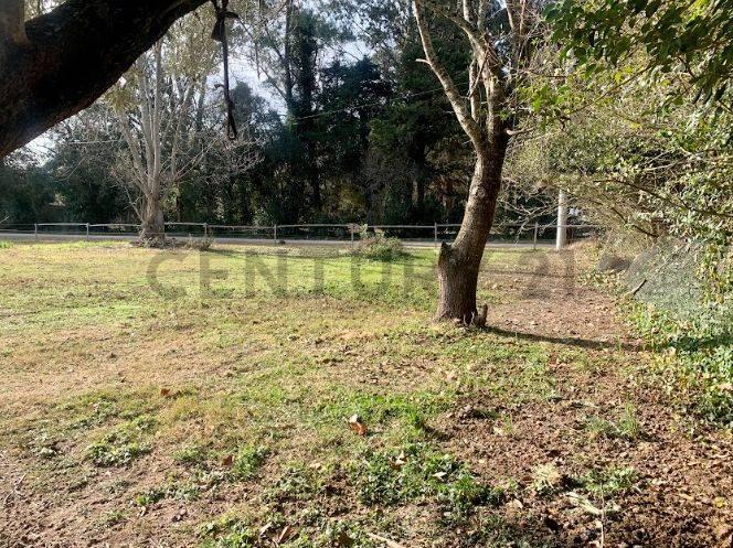 Foto de Venta de Lote en Villa Elisa, La Plata, imagen 1