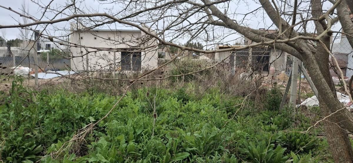 Foto de Lote en venta en Barrio Sicardi, imagen 3