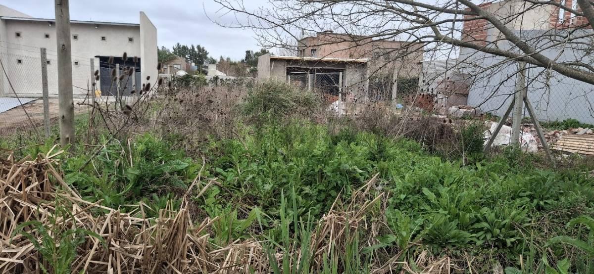 Foto de Lote en venta en Barrio Sicardi, imagen 4
