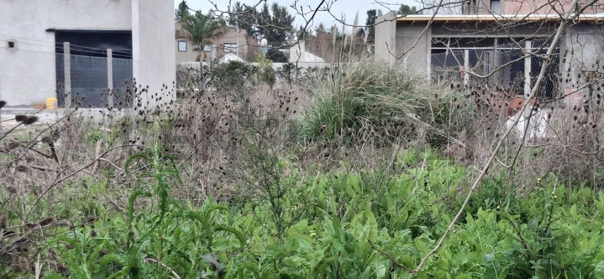 Foto de Lote en venta en Barrio Sicardi, imagen 1