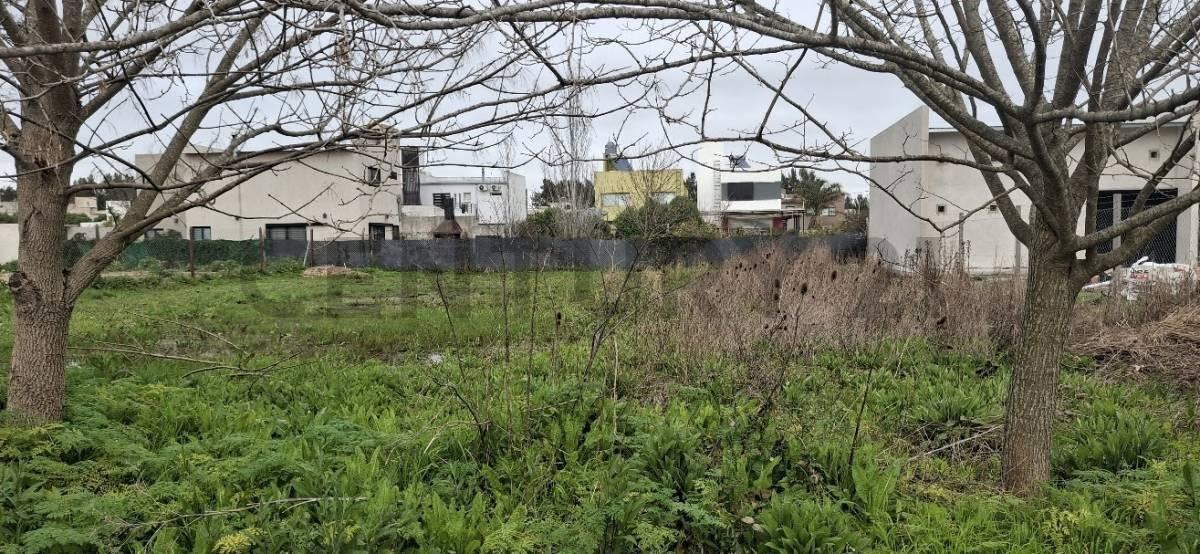 Foto de Lote en venta en Barrio Sicardi, imagen 4