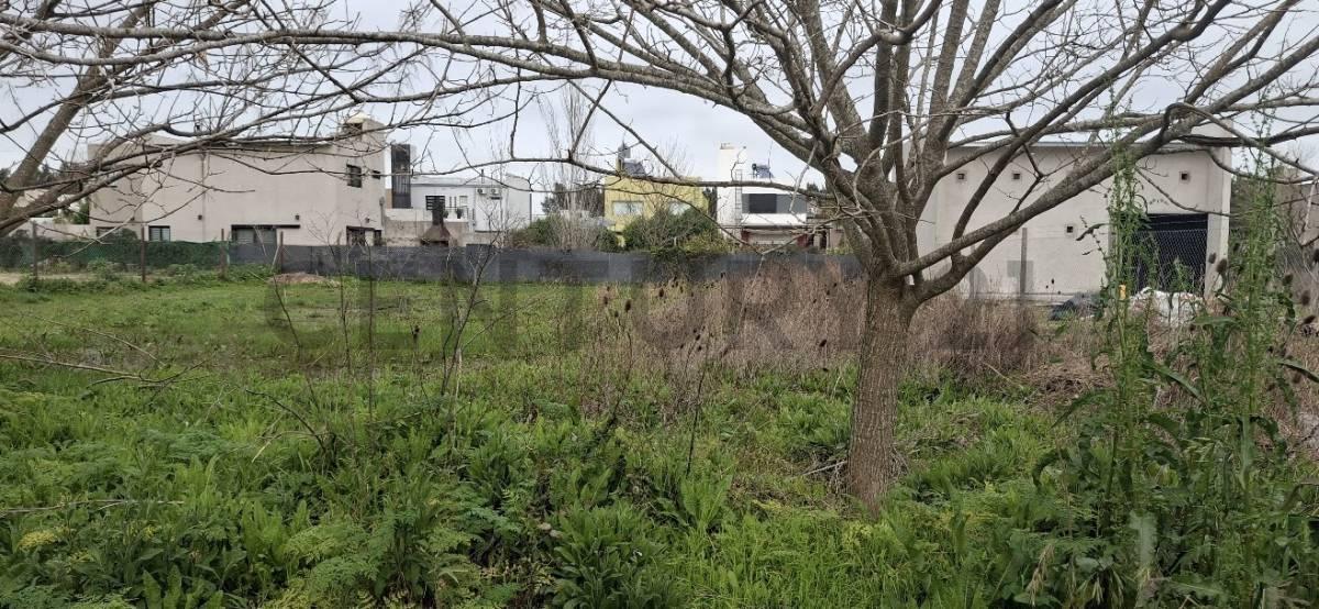 Foto de Lote en venta en Barrio Sicardi, imagen 5