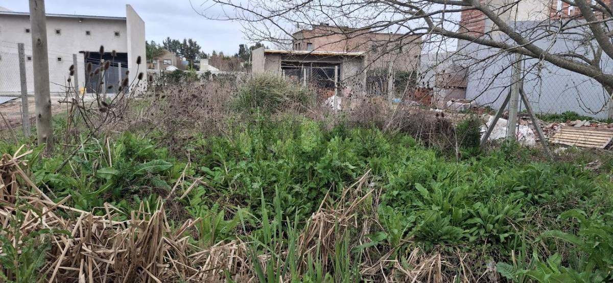 Foto de Lote en venta en Barrio Sicardi, imagen 3