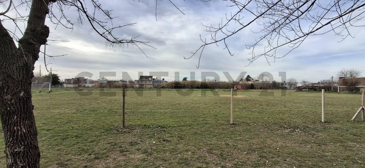 Foto de Venta de parcela La Plata, imagen 4
