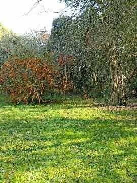 Foto de Venta de Lote en Villa Elisa, imagen 2