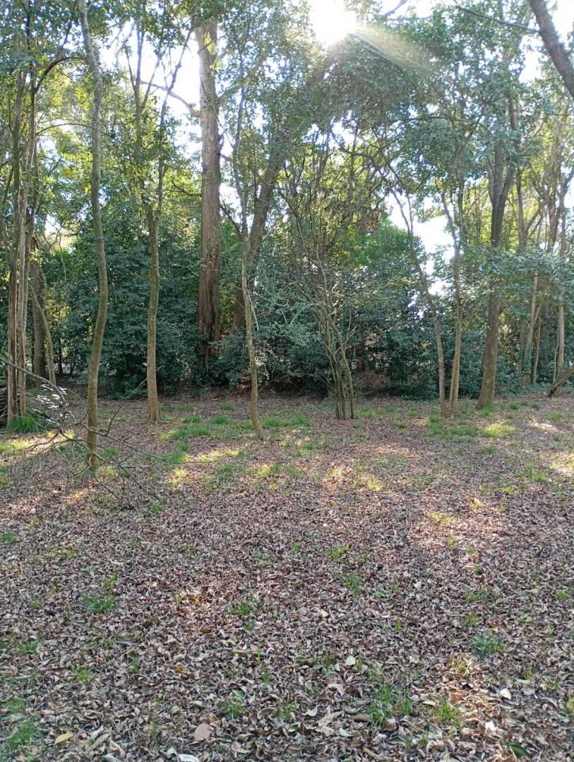 Foto de Venta de Lote en Villa Elisa, imagen 5