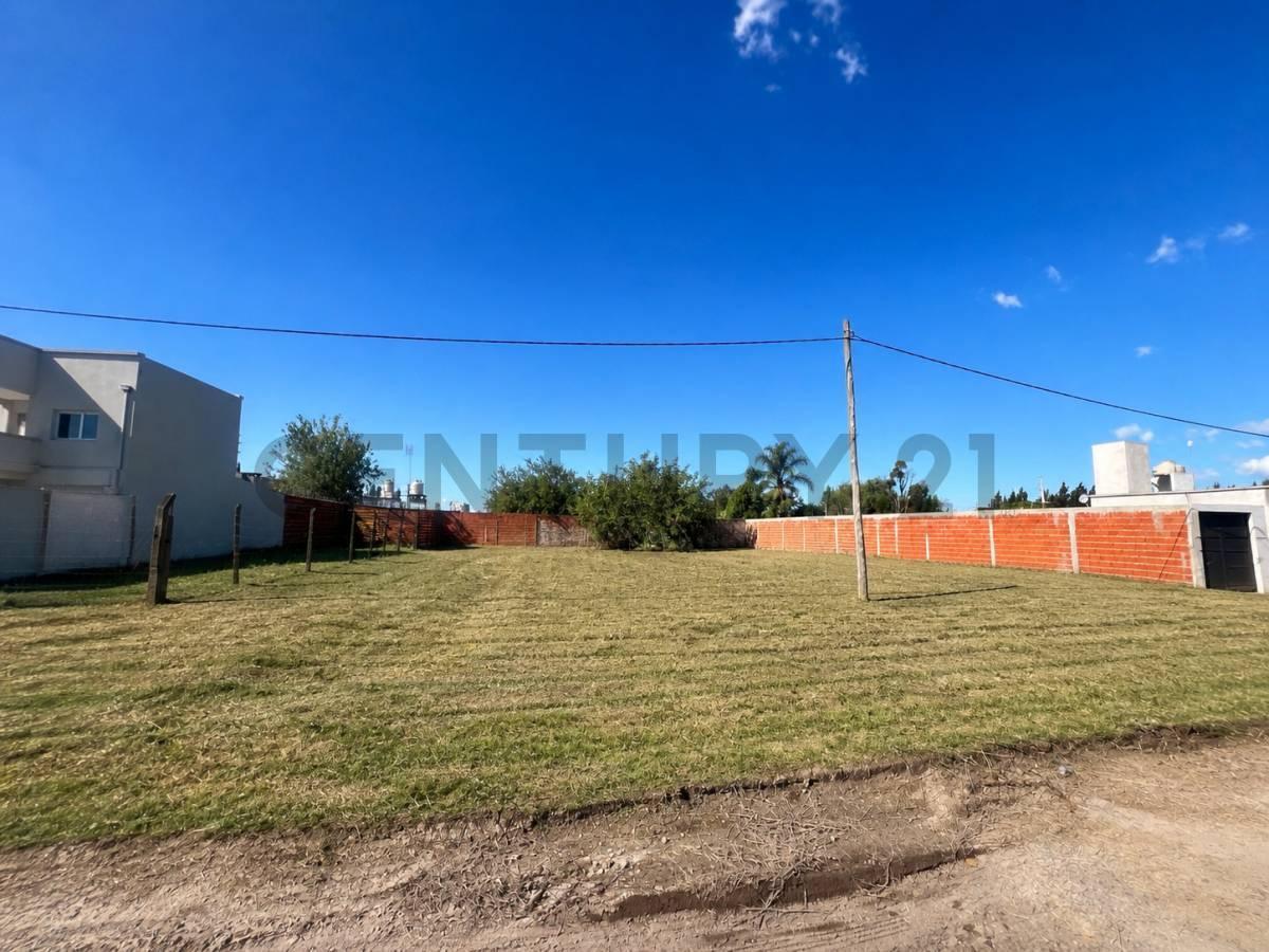 Foto de Lotes en venta en Lisandro Olmos, imagen 5