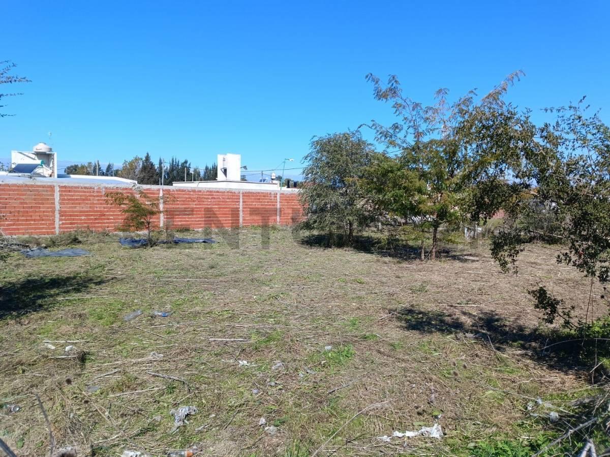 Foto de Lotes en venta en Lisandro Olmos, imagen 3