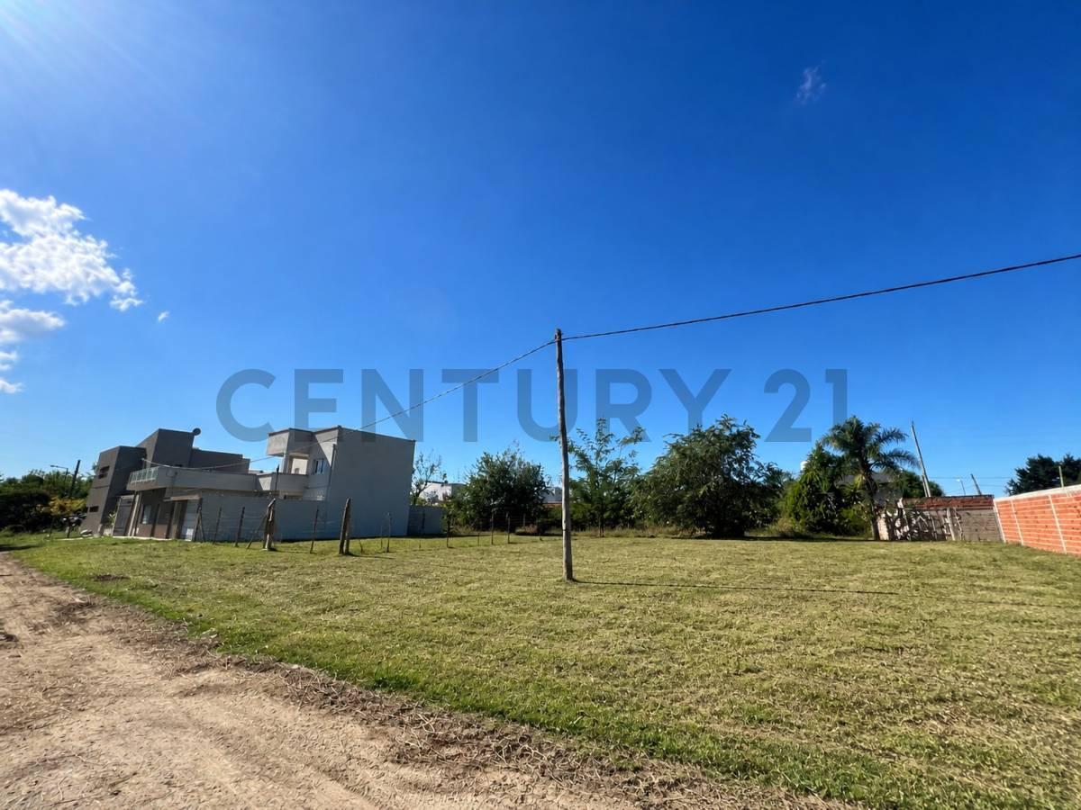 Foto de Lotes en venta en Lisandro Olmos, imagen 2