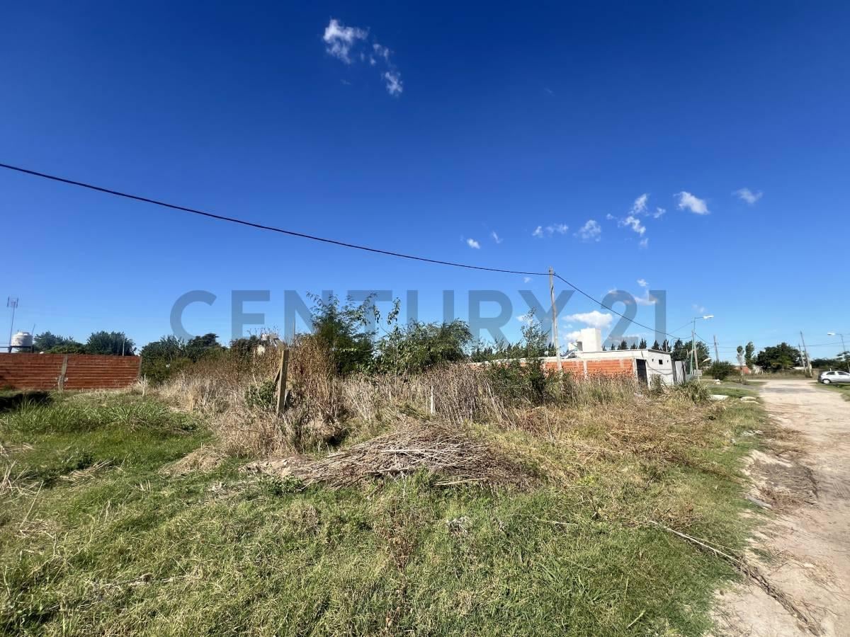 Foto de Lotes en venta en Lisandro Olmos, imagen 4