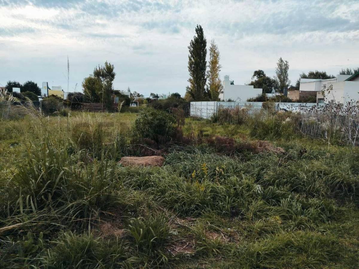 Foto de Venta de Lote en Parque Sicardi, imagen 4