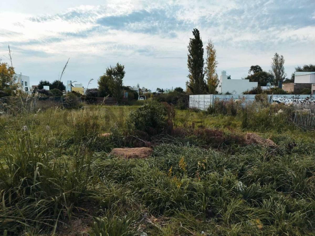 Foto de Venta de Lote en Parque Sicardi, imagen 3