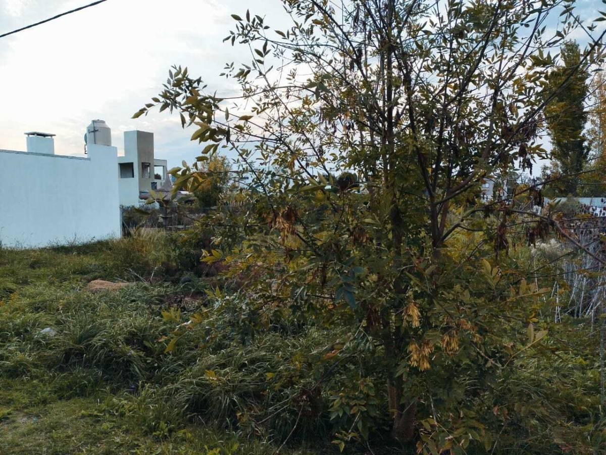 Foto de Venta de Lote en Parque Sicardi, imagen 1