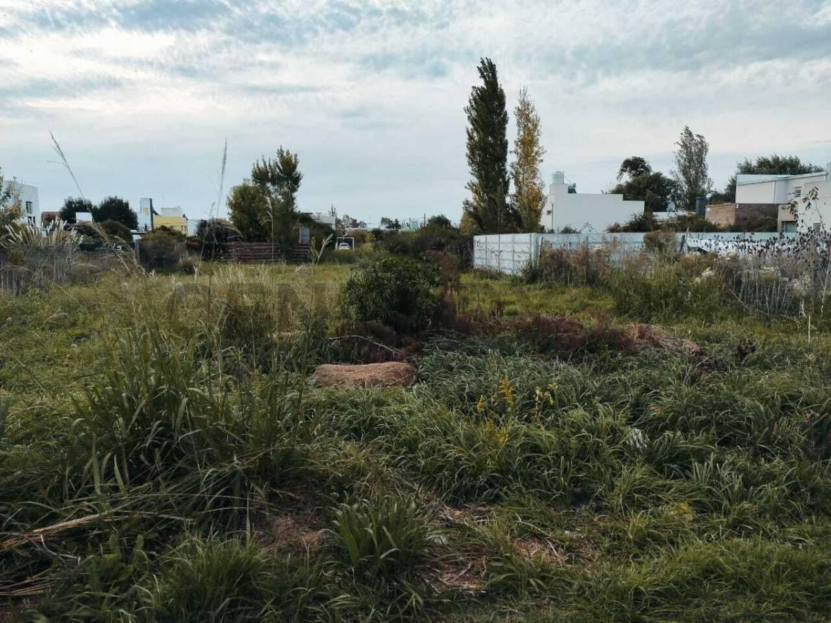 Foto de Venta de Lote en Parque Sicardi, imagen 5