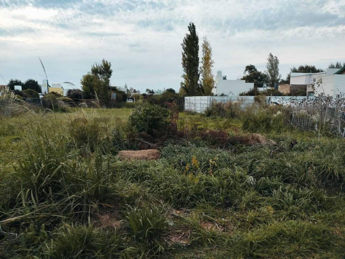 Foto de Venta de Lote en Parque Sicardi, imagen 2