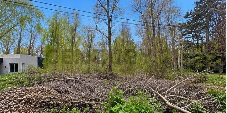 Foto de Terreno en Venta en Costa del Este, imagen 1