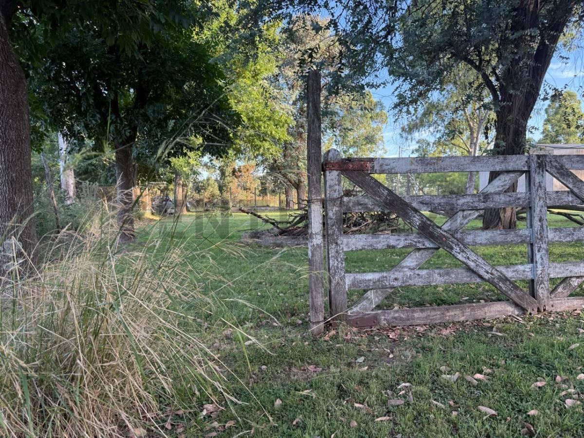 Foto de Fraccion en venta de casi 2 hectareas Villa Elvira, imagen 4