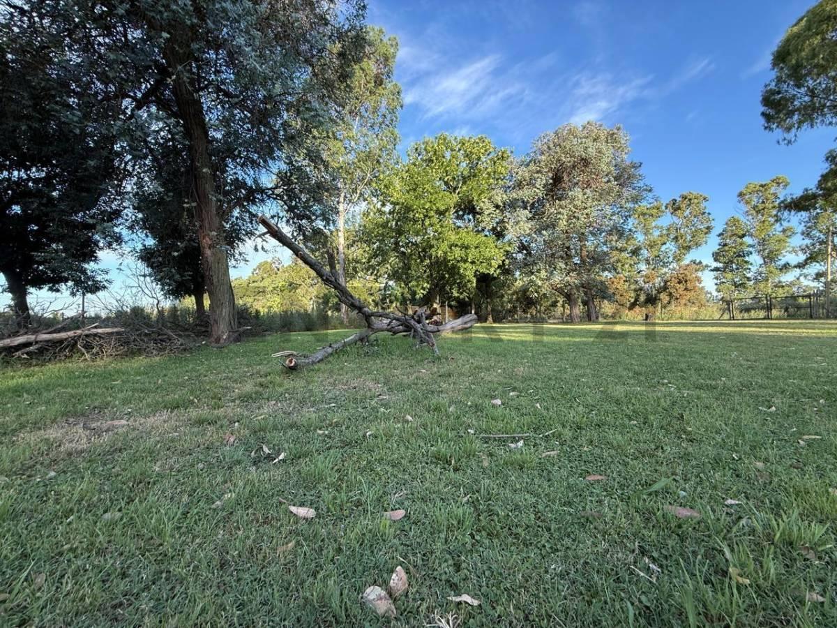Foto de Fraccion en venta de casi 2 hectareas Villa Elvira, imagen 5