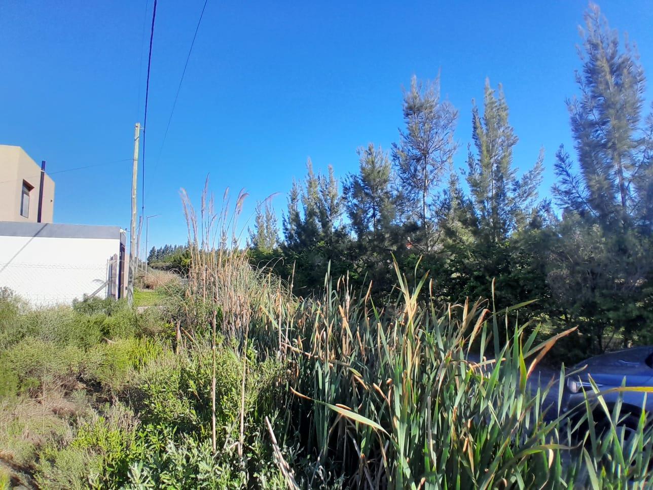 Foto de Terreno en venta en 23 e/656 y 657, imagen 3