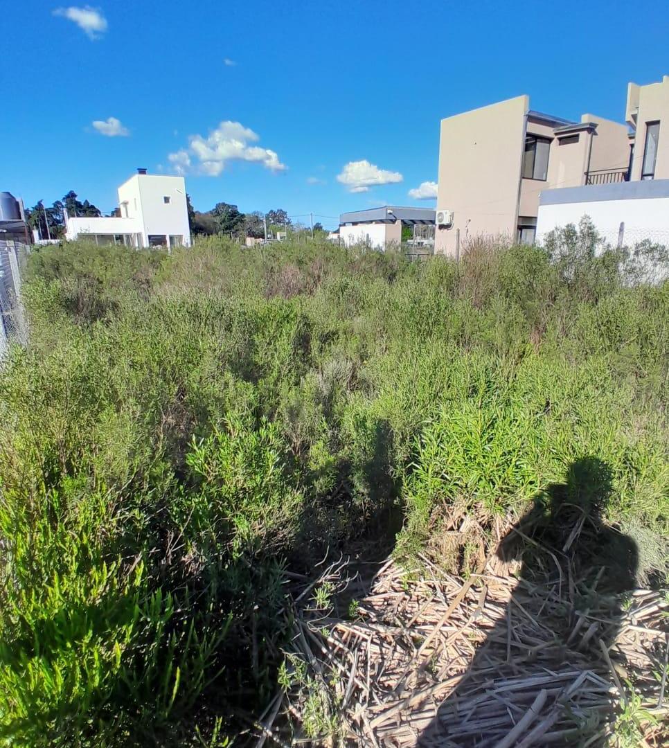 Foto de Terreno en venta en 23 e/656 y 657, imagen 5