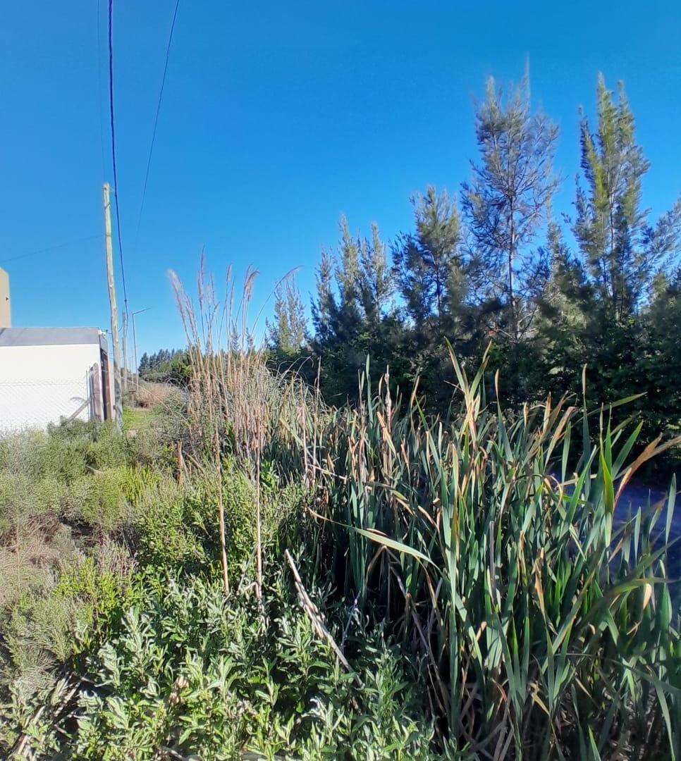 Foto de Terreno en venta en 23 e/656 y 657, imagen 4