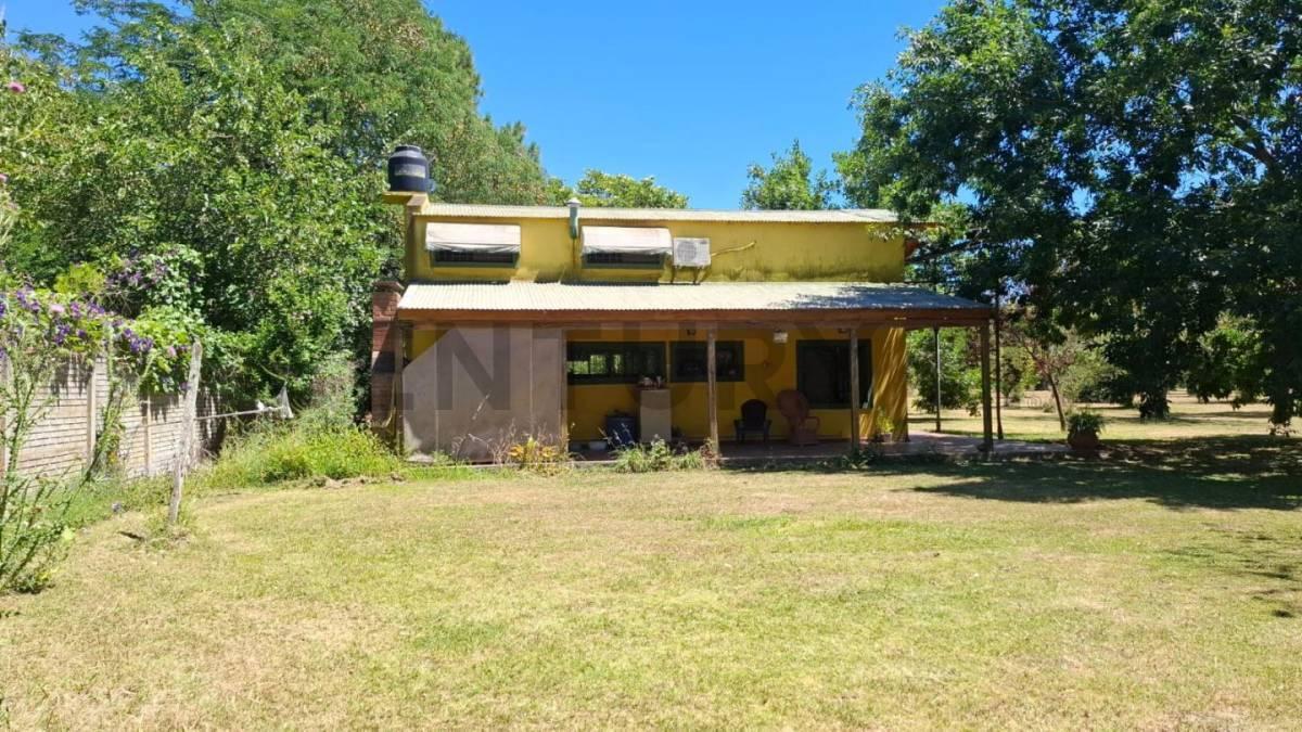 Foto de Hectareas en venta con Casa en Arturo Segui 403 y 139- Excelente, imagen 3