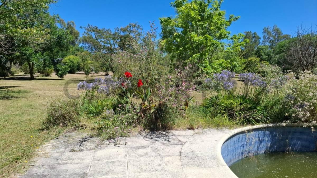 Foto de Hectareas en venta con Casa en Arturo Segui 403 y 139- Excelente, imagen 5